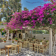 Restaurant with flowers on the island of Mykonos, Cyclades Islands
