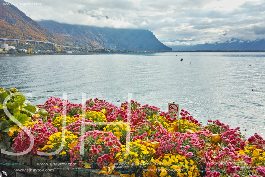 Amazing view of Lake Geneva and Alps, Montereux, canton of Vaud, Switzerland