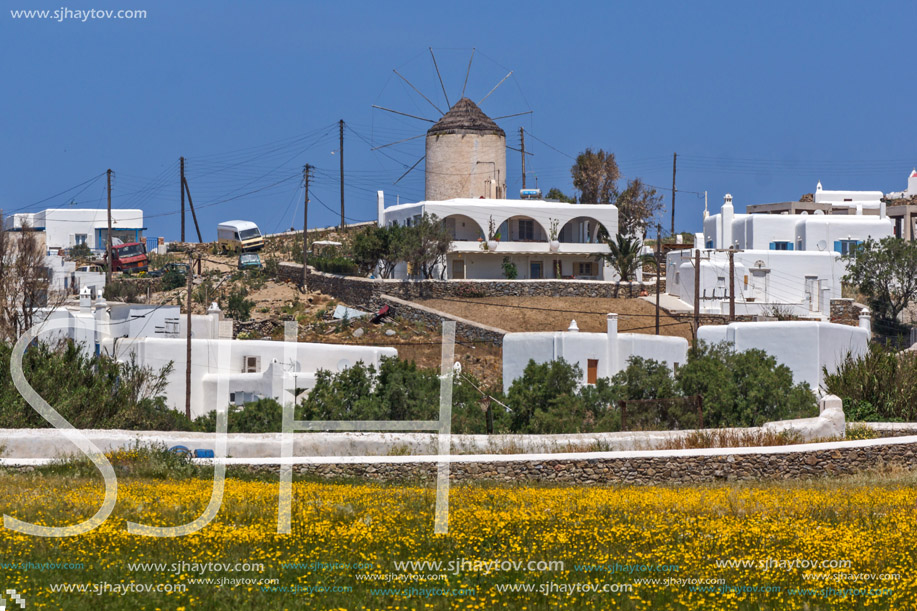 Panoramic view of Town of Ano Mera with spring flowers, island of Mykonos, Cyclades, Greece