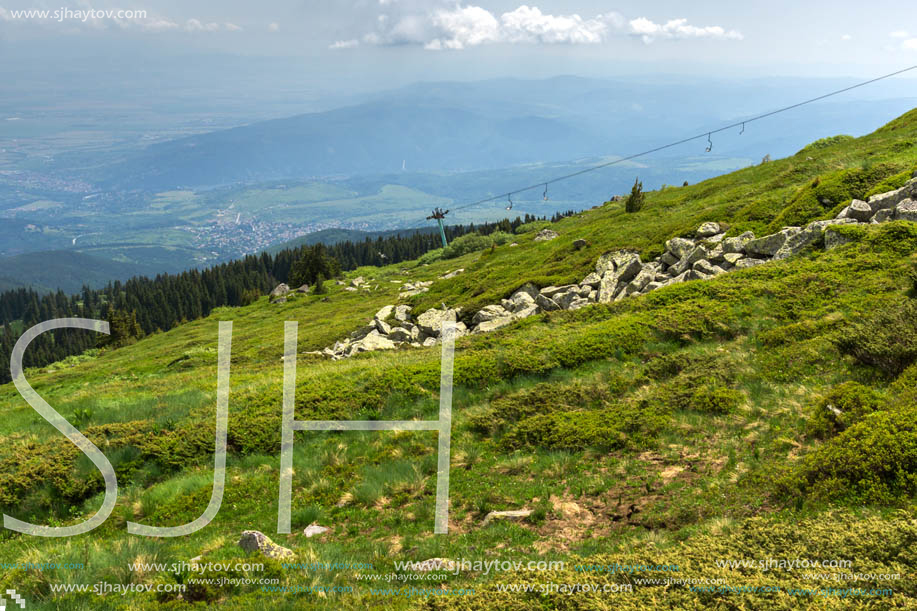 Panorama with green hills at Vitosha Mountain, Sofia City Region, Bulgaria