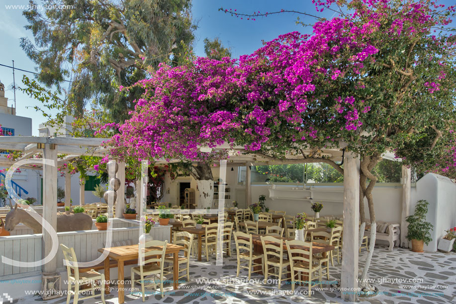 Restaurant with flowers on the island of Mykonos, Cyclades Islands