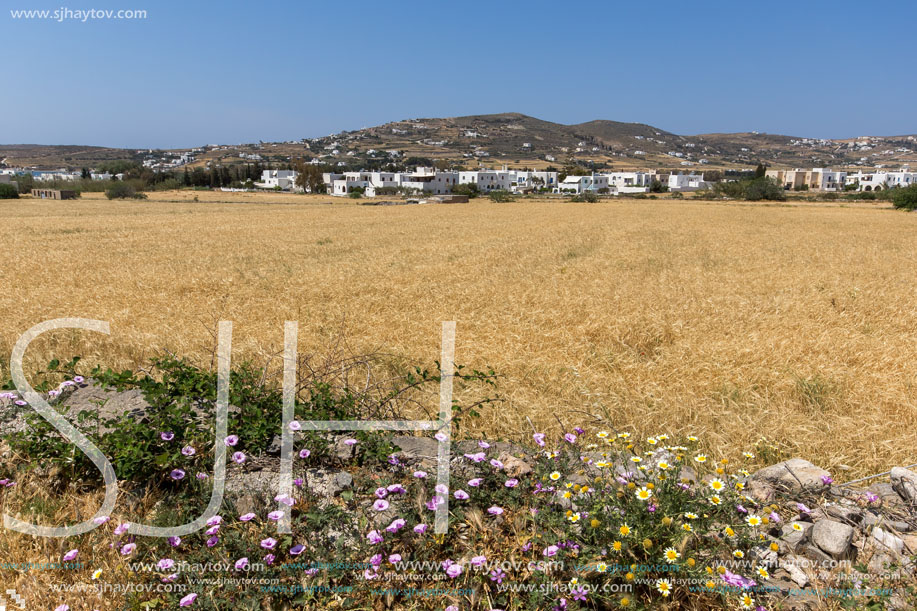 Paros Island Landscape, Cyclades