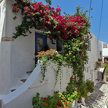 House with flowers in Naxos island, Cyclades