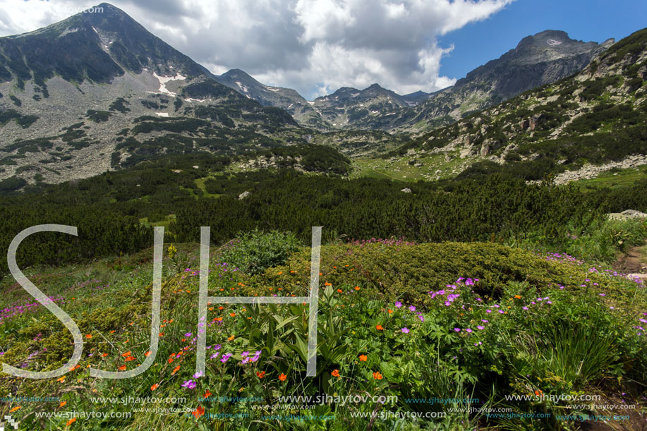 Pirin Mountain Landscape, Bulgaria