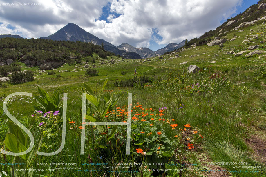 Pirin Mountain Landscape, Bulgaria