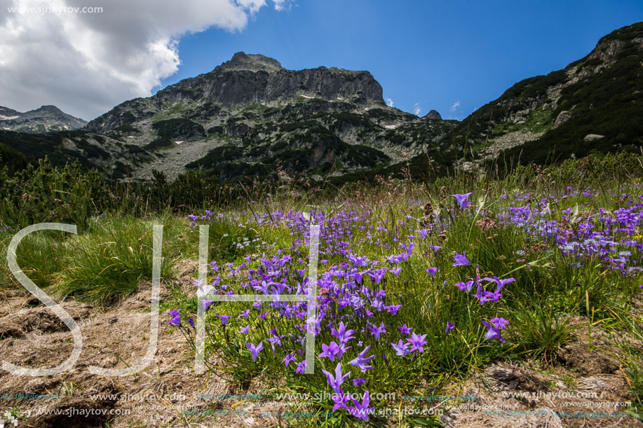 Pirin Mountain Landscape, Bulgaria