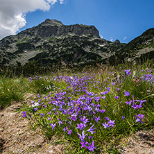 Pirin Mountain Landscape, Bulgaria