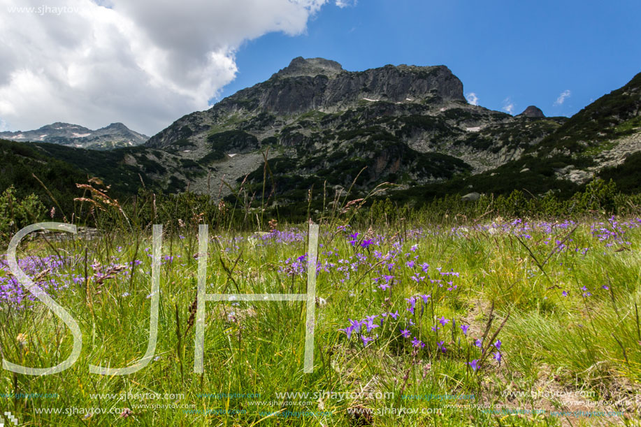 Pirin Mountain Landscape, Bulgaria