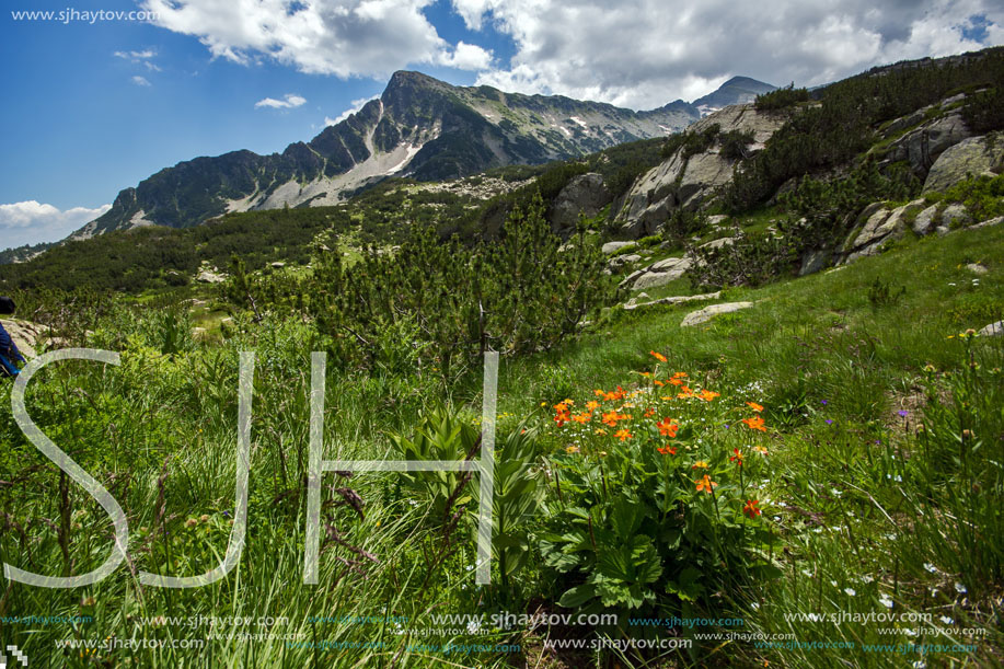 Pirin Mountain Landscape, Bulgaria