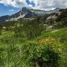 Pirin Mountain Landscape, Bulgaria