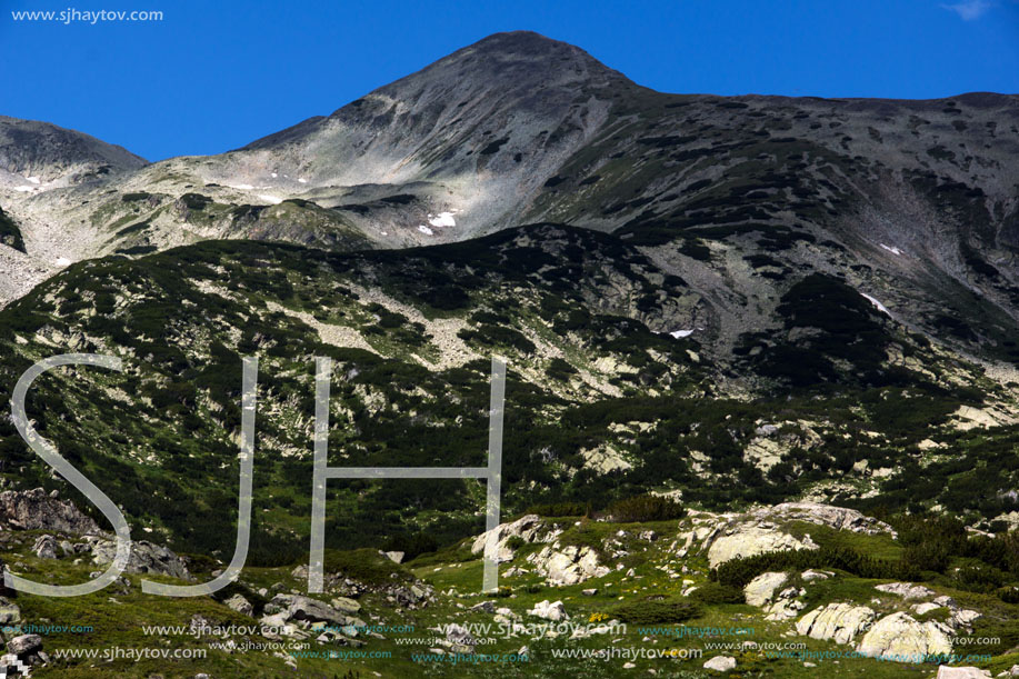 Pirin Mountain Landscape, Bulgaria