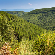 Halkidiki Landscape, Chalkidiki, Central Macedonia, Greece