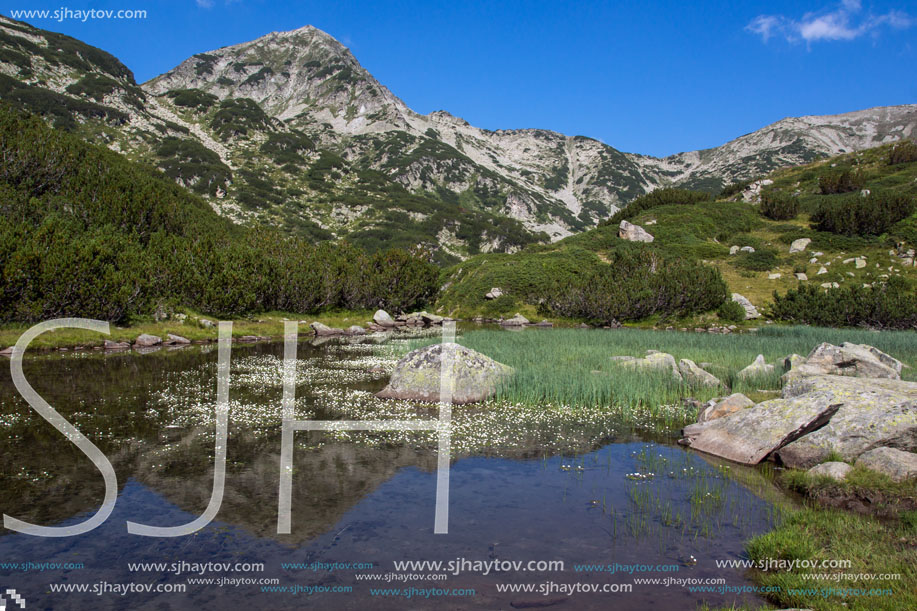 Hvoynati Peak and Mountain River, Pirin Mountain, Bulgaria