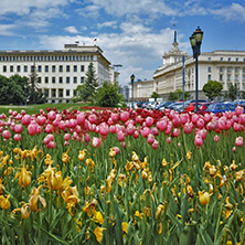 Spring Landscape of Square kniaz Alexander first - Sofia, Bulgaria