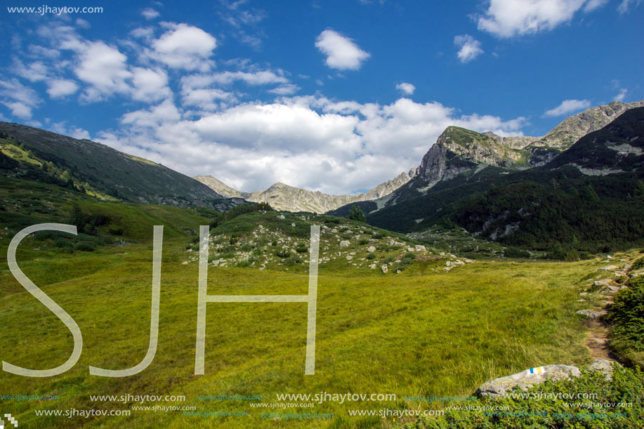 Landscape of Green hills in Pirin Mountain , Bulgaria