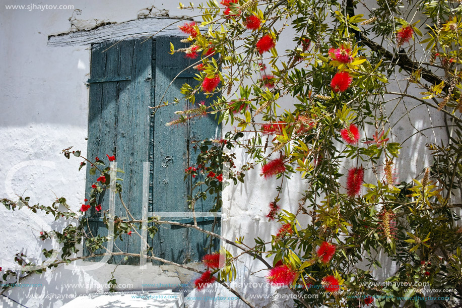 Window of the medieval house with flowers, Zakynthos island, Greece