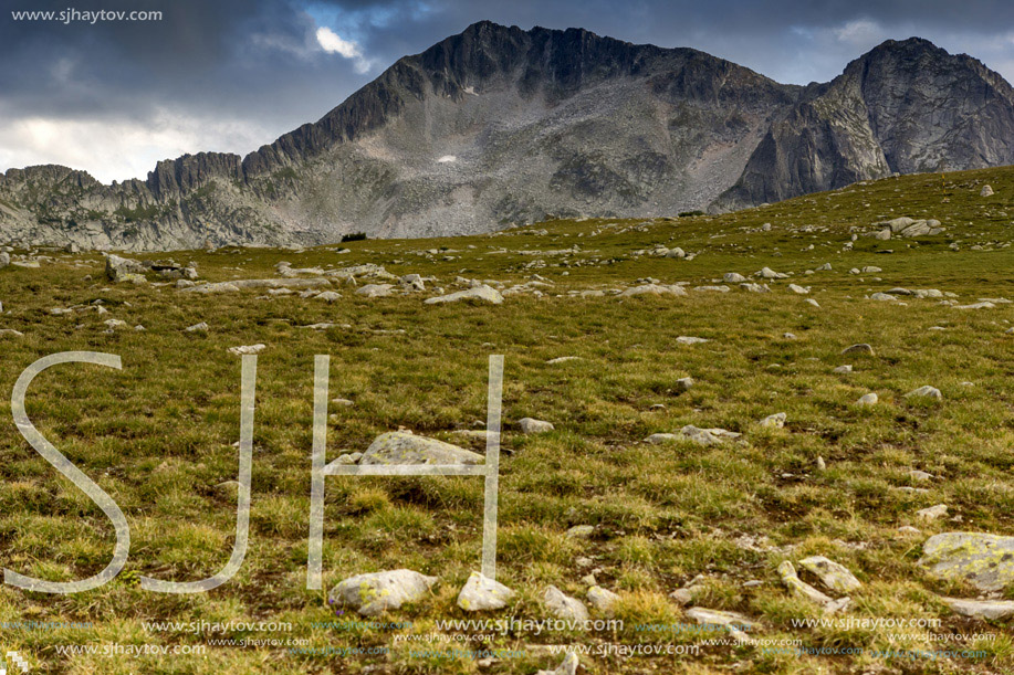 Green meadow and clouds over Kamenitsa peak, Pirin Mountain, Bulgaria