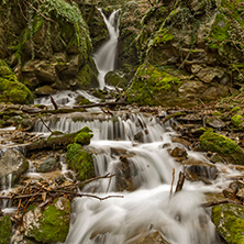 Beautiful view of Leshnishki Waterfall in deep forest, Belasitsa Mountain, Bulgaria