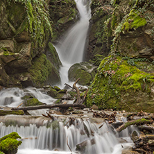 wonderful view of Leshnishki Waterfall in deep forest, Belasitsa Mountain, Bulgaria
