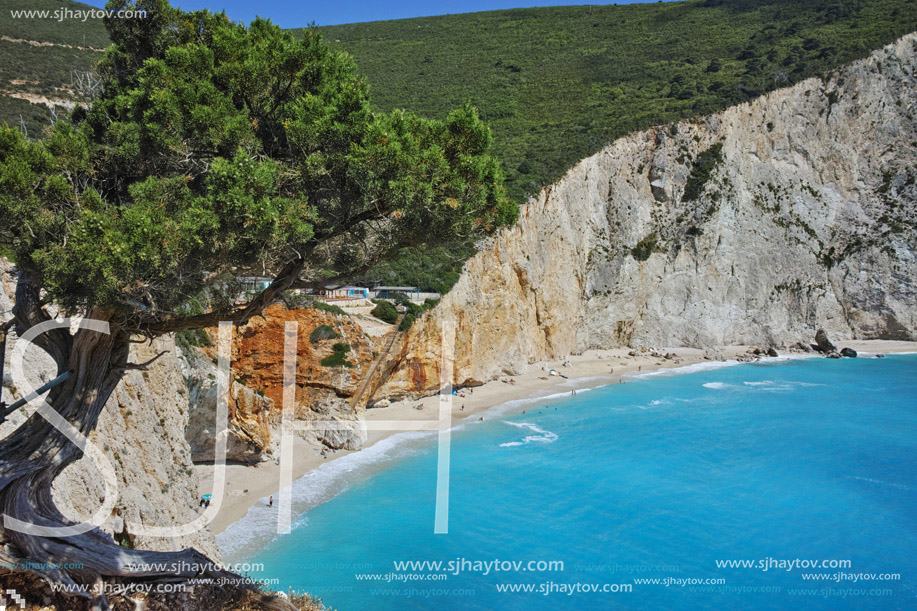 Tree over Porto Katsiki Beach, Lefkada, Ionian Islands, Greece