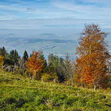 Autumn Landscape near mount Rigi, Alps, Switzerland