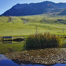 Small lake under mount Rigi, Alps, Switzerland