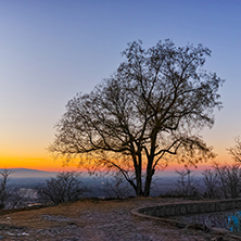 Amazing Sunset over lonely tree, Dzhendem tepe hill, city of Plovdiv, Bulgaria