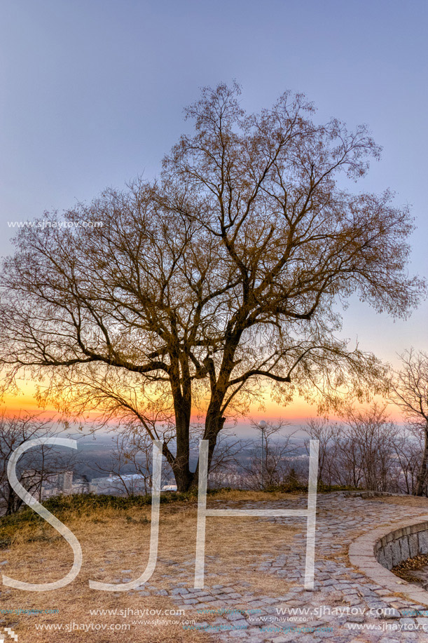 Amazing Sunset over Alone Tree, Dzhendem tepe hill, city of Plovdiv, Bulgaria