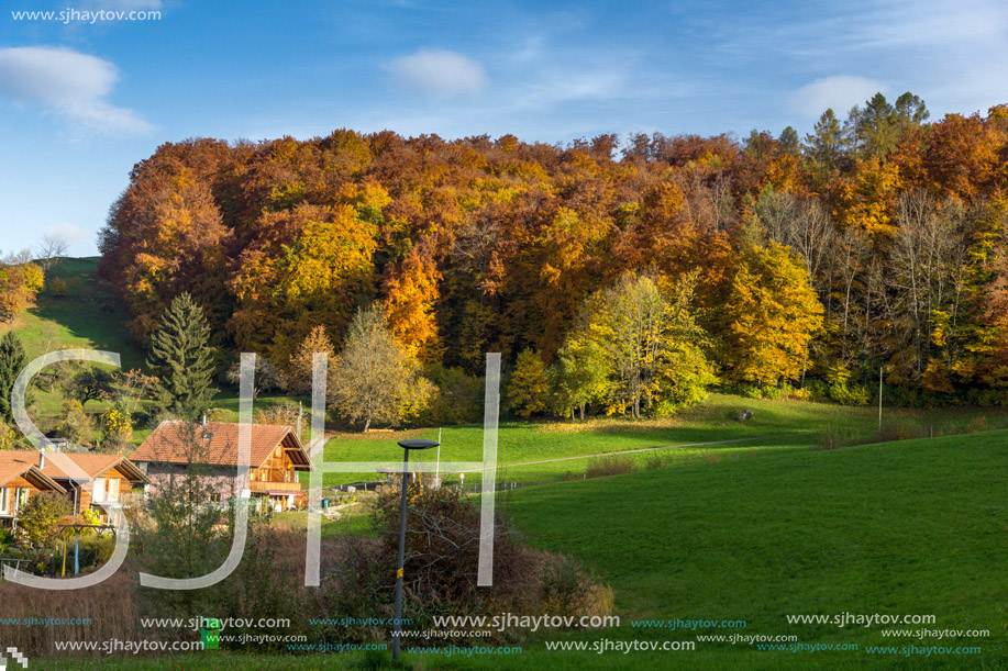 Autumn Landscape of Green meadows near town of Interlaken, canton of Bern, Switzerland