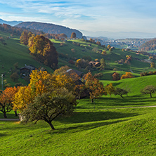 green meadows and typical Switzerland village near town of Interlaken, canton of Bern