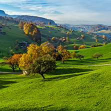 Autumn Landscape of typical Switzerland village near town of Interlaken, canton of Bern