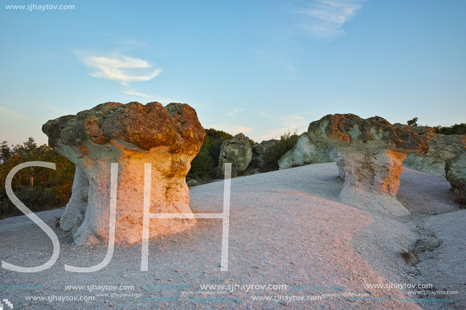 Stone Mushrooms colored in yellow from Sunrise near Beli plast village, Kardzhali Region, Bulgaria
