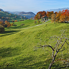 green meadows and typical Switzerland village near town of Interlaken, canton of Bern