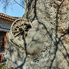 cartwheel in the venerable tree in town of Melnik, Blagoevgrad region, Bulgaria