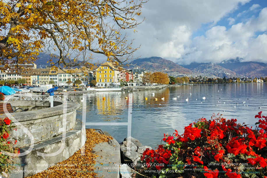 Flowers in embankment of town of Vevey and Lake Geneva, canton of Vaud, Switzerland