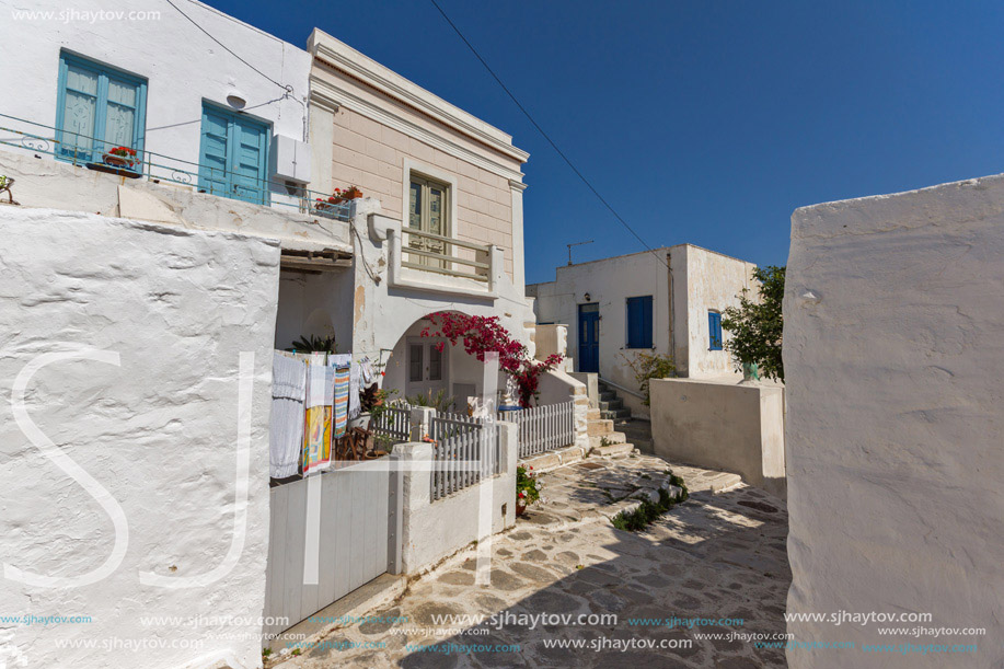 white houses with flowers in town of Parakia, Paros island, Cyclades, Greece