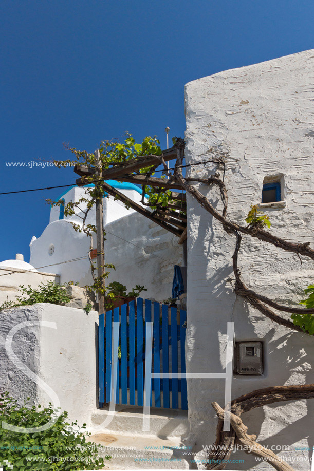 White chuch and vine in town of Parakia, Paros island, Cyclades, Greece