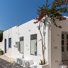 white houses with flowers in town of Parakia, Paros island, Cyclades, Greece