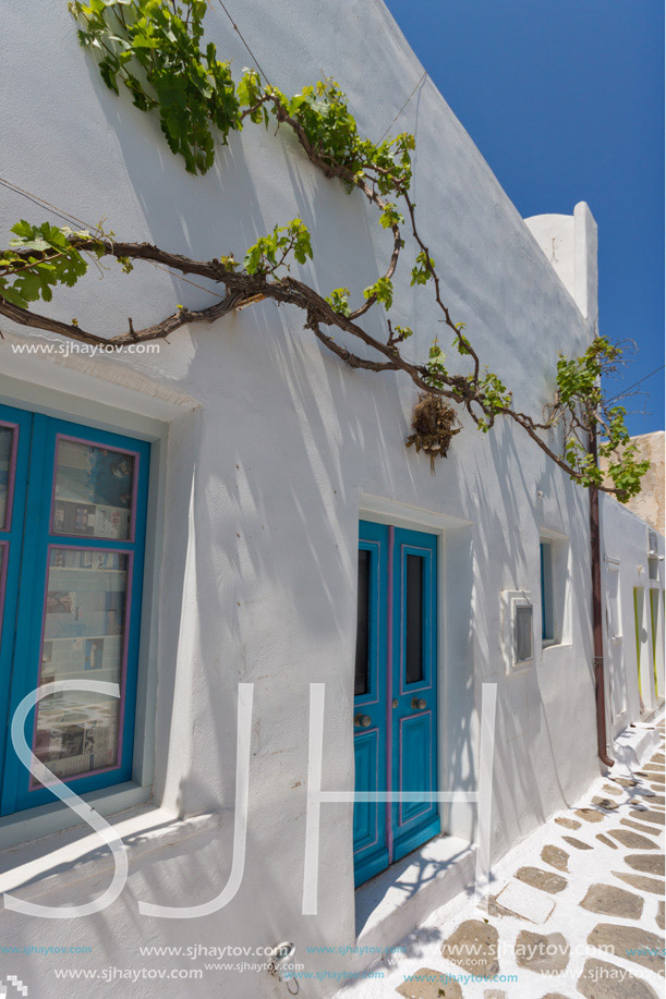 Green vine on Typical white house in town of Naoussa, Paros island, Cyclades, Greece