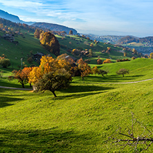 green meadows and typical Switzerland village near town of Interlaken, canton of Bern