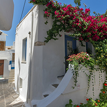 White house covered with red flowers, Chora town, Naxos Island, Cyclades, Greece