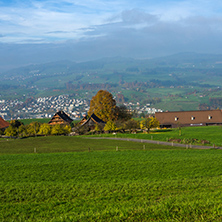 Green meadows above Lake Lucerne, near mount Rigi, Alps, Switzerland