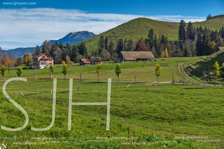 Green meadows and mountain houses above Lake Lucerne, near mount Rigi, Alps, Switzerland