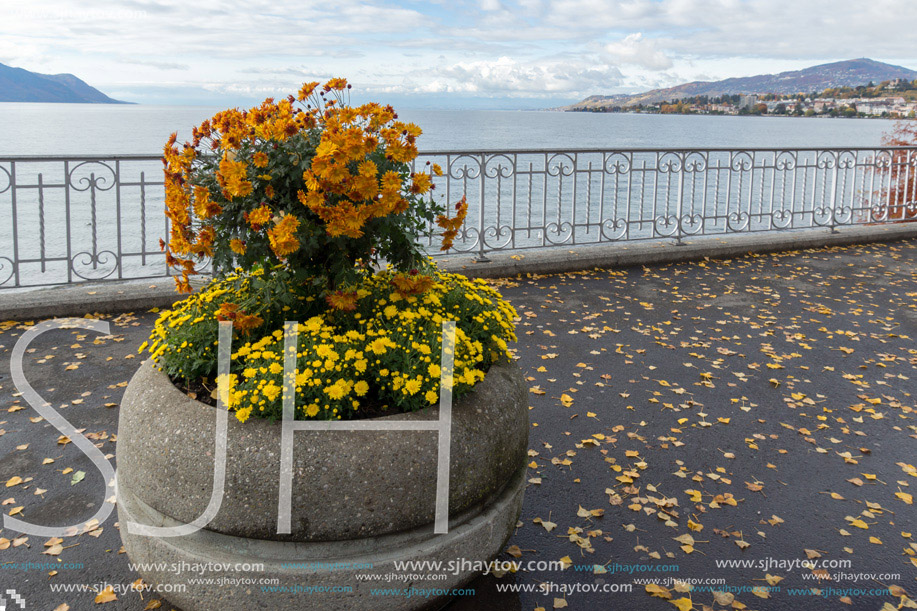 Flowers on embankment in Montreux, canton of Vaud, Switzerland