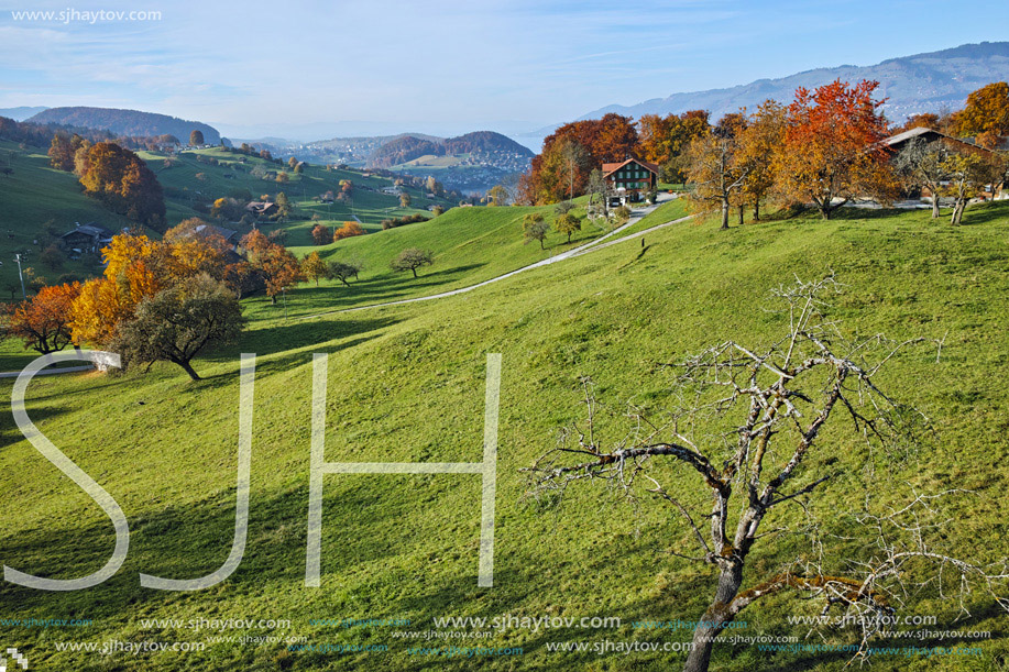 green meadows and typical Switzerland village near town of Interlaken, canton of Bern