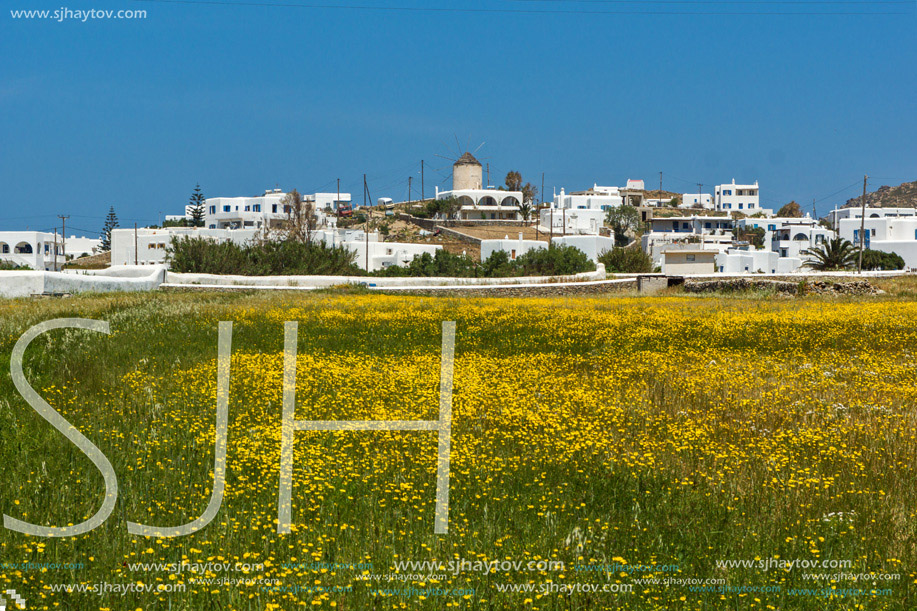 Panoramic view of Town of Ano Mera with spring flowers, island of Mykonos, Cyclades, Greece