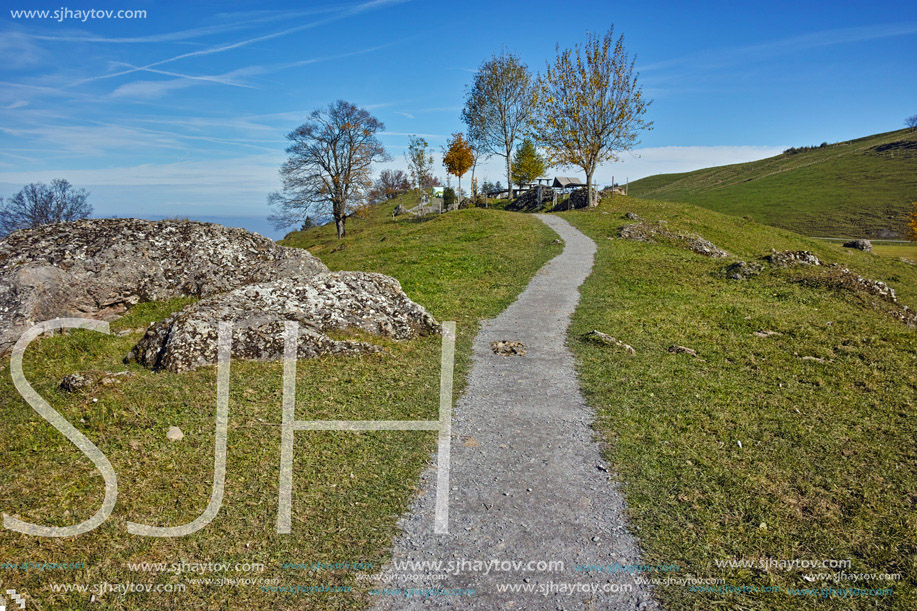 tree and blue sky near mount Rigi, Alps, Switzerland