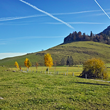 Mount Rigi and autumn landscape, Alps, Switzerland
