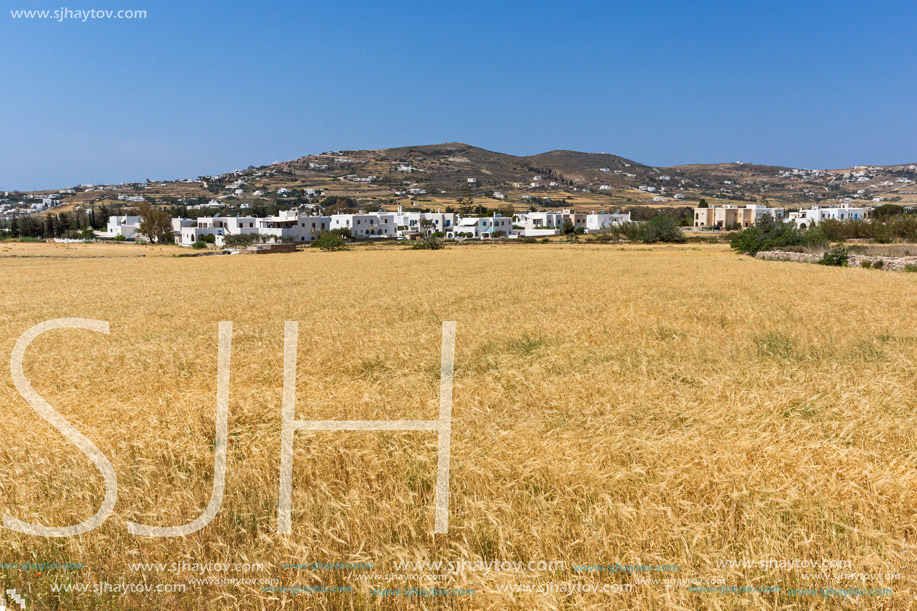 Rural landscape near town of Parikia, Paros island, Cyclades, Greece