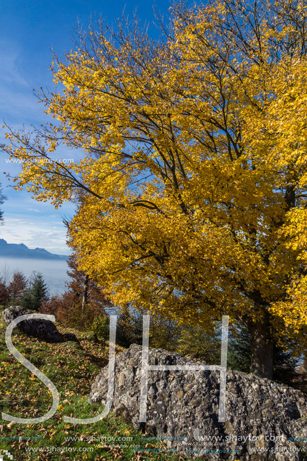 Autumn Landscape near mount Rigi, Alps, Switzerland